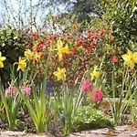 Le Jardin 사흘라 라 카네다