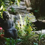 B&B Le Jardin *