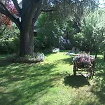 Le Jardin *