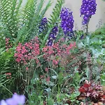B&B Le Jardin 사흘라 라 카네다