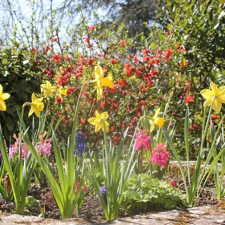 Le Jardin Sarlat-la-Caneda
