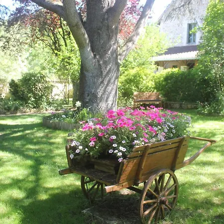 Le Jardin