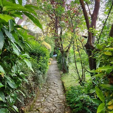 Le Jardin *