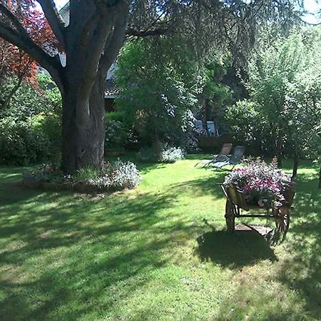 Le Jardin *