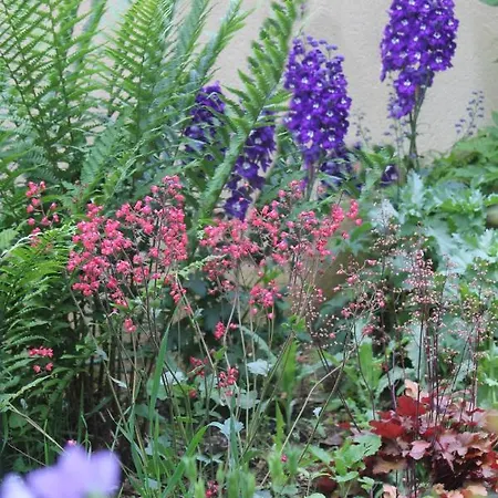 Bed & Breakfast Le Jardin Sarlat-la-Caneda