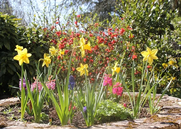 Le Jardin Sarlat-la-Canéda